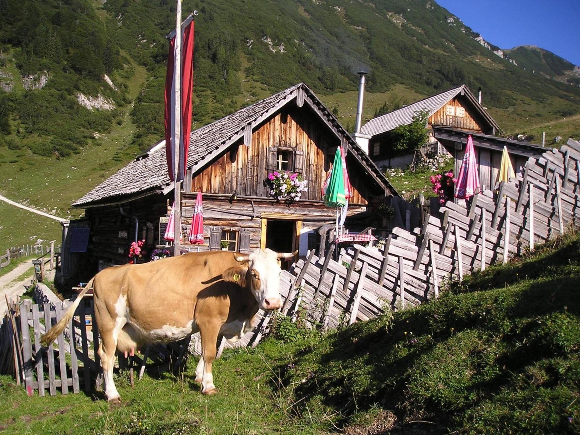 Ferienwohnung Renate Hubner Gosau Exterior foto
